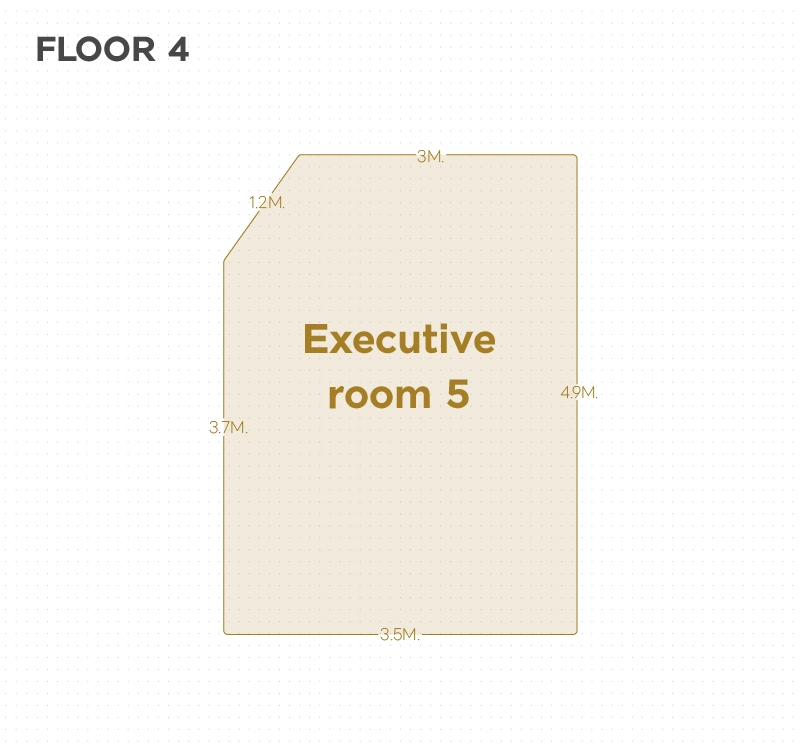 Executive room 5